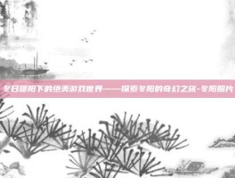 冬日暖阳下的绝美游戏世界——探索冬阳的奇幻之旅-冬阳照片