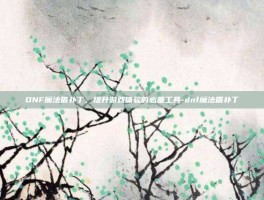 DNF魔法盾补丁，提升游戏体验的必备工具-dnf魔法盾补丁