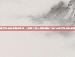 狂飙京海医院窗外是爱情公寓，游戏攻略与策略解析-狂飙京海医院窗外是爱情公寓