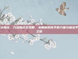 力法加点，力法加点全攻略，从萌新到高手的力量与魔法平衡之道