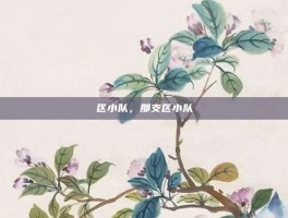 区小队，那支区小队