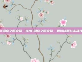 dnf洞察之眼攻略，DNF洞察之眼攻略，机制详解与实战技巧