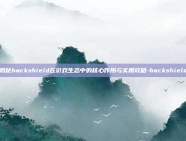 揭秘hackshield在游戏生态中的核心作用与实用攻略-hackshield