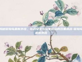 揭秘冒险岛最新外挂，游戏安全与玩家权益的双重挑战-冒险岛最新外挂