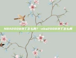 NBA2008补丁怎么用？-nba2008补丁怎么用