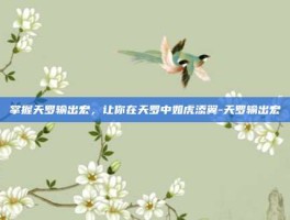 掌握天罗输出宏，让你在天罗中如虎添翼-天罗输出宏