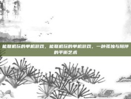 能联机玩的单机游戏，能联机玩的单机游戏，一种孤独与陪伴的平衡艺术