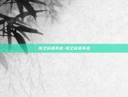 龙之谷进不去-龙之谷进不去