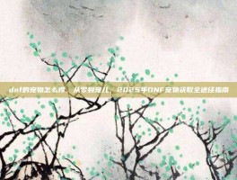 dnf的宠物怎么得，从零到宠儿，2025年DNF宠物获取全途径指南