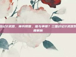 三国战纪2武器，神兵降世，谁与争锋？三国战纪2武器系统深度解析