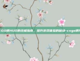 CS:GO调HUD的终极指南，提升游戏体验的秘诀-csgo调hud