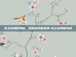 龙之谷网吧特权，探索游戏新境界-龙之谷网吧特权