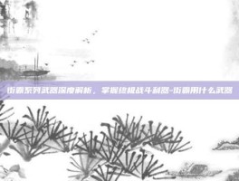 街霸系列武器深度解析，掌握终极战斗利器-街霸用什么武器