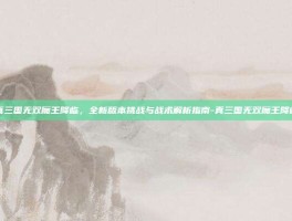 真三国无双魔王降临，全新版本挑战与战术解析指南-真三国无双魔王降临