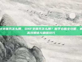 dnf支援兵怎么用，DNF支援兵怎么用？新手必看全攻略，解锁高效搬砖与刷图技巧