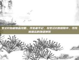 梦幻2隐藏物品攻略，寻宝者手记，在梦幻2的裂隙中，寻找被遗忘的顶级神装
