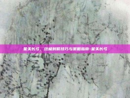 星矢长弓，终极射箭技巧与策略指南-星矢长弓
