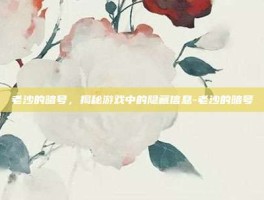 老沙的暗号，揭秘游戏中的隐藏信息-老沙的暗号