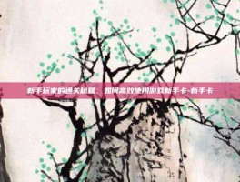 新手玩家的通关秘籍，如何高效使用游戏新手卡-新手卡