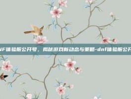 DNF体验服公开号，揭秘游戏新动态与策略-dnf体验服公开号