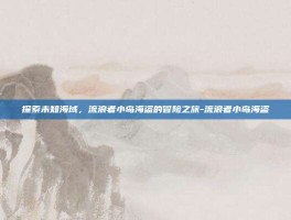 探索未知海域，流浪者小岛海盗的冒险之旅-流浪者小岛海盗