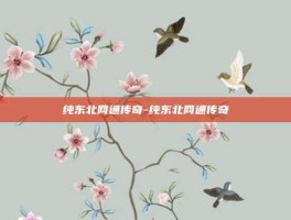 纯东北网通传奇-纯东北网通传奇