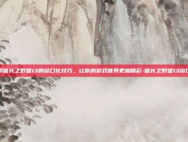 探索信长之野望13的窗口化技巧，让你的游戏世界更加精彩-信长之野望13窗口化