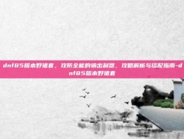 dnf85版本野猪套，攻防全能的输出利器，攻略解析与搭配指南-dnf85版本野猪套