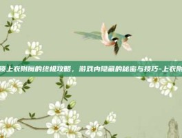 解锁上衣附魔的终极攻略，游戏内隐藏的秘密与技巧-上衣附魔