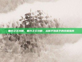 垂钓之王攻略，垂钓之王攻略，从新手到高手的终极指南