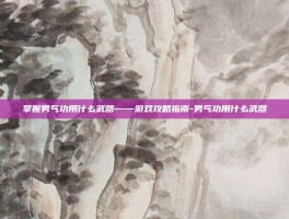 掌握男气功用什么武器——游戏攻略指南-男气功用什么武器