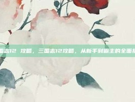 三国志12 攻略，三国志12攻略，从新手到霸主的全面指南