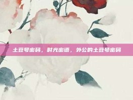土豆号密码，时光密语，外公的土豆号密码