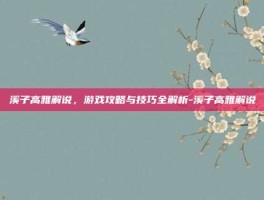 溪子高雅解说，游戏攻略与技巧全解析-溪子高雅解说