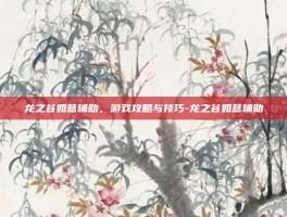 龙之谷如意辅助，游戏攻略与技巧-龙之谷如意辅助