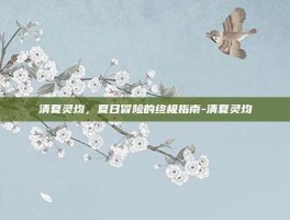 清夏灵均，夏日冒险的终极指南-清夏灵均