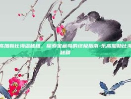 乐高加勒比海盗秘籍，探索宝藏岛的终极指南-乐高加勒比海盗秘籍