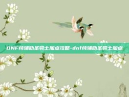 DNF纯辅助圣骑士加点攻略-dnf纯辅助圣骑士加点