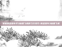 掌握侠盗猎车手3秘籍飞机的飞行技巧-侠盗猎车3秘籍飞机