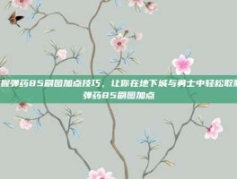 掌握弹药85刷图加点技巧，让你在地下城与勇士中轻松取胜-弹药85刷图加点