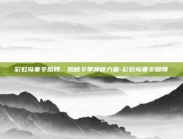 彩虹岛寒冬图腾，揭秘冬季神秘力量-彩虹岛寒冬图腾