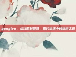gonglve，从攻略到智慧，现代生活中的指南之道