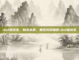 dnf极武圣，破茧杀戮，重塑武道巅峰-dnf极武圣