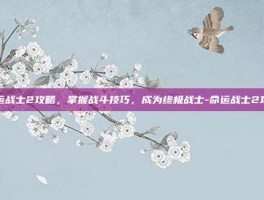 命运战士2攻略，掌握战斗技巧，成为终极战士-命运战士2攻略