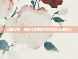 三国贝贝，策略与智谋的完美结合-三国贝贝