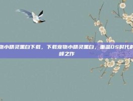 宠物小精灵黑白下载，下载宠物小精灵黑白，重温DS时代的巅峰之作
