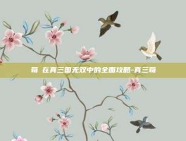 荀彧在真三国无双中的全面攻略-真三荀彧