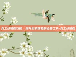 龙之谷辅助攻略，提升游戏体验的必备工具-龙之谷辅助