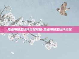 热血海贼王伙伴搭配攻略-热血海贼王伙伴搭配