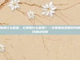 公测是什么意思，公测是什么意思？一文看懂游戏和软件的公开测试阶段
